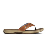 Men's Baitfish Thong Brown