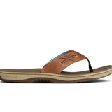 Men's Baitfish Thong Brown
